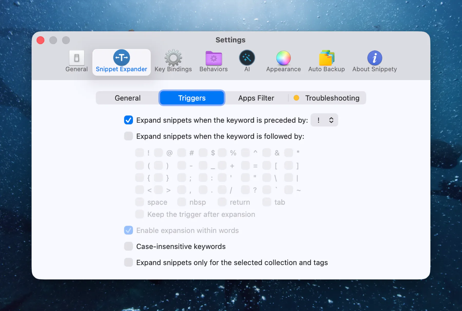 Text Expansion Trigger Setting